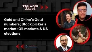 Gold and China&rsquo;s Gold numbers; Stock picker&rsquo;s market; Oil markets & US elections