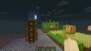 Vanilla Skyblock 1.16 Episode Five