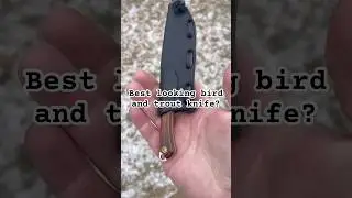 Нож Bird & Teout, достойный короля! Slim Scout от Ice Age Blades.
