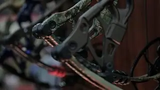 Hoyt 