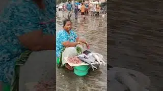 Gorai Beach ⛱️ | Beach day #shortsfeed #viral #trending #youtubeshorts #shorts