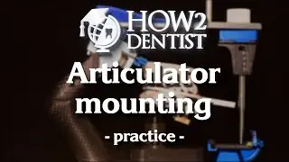 How to work with face-bow and articulator? / How to Dentist