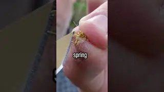 Умереть от голода☠️? Нет, для выживания нужно 12 одуванчиков 🌼