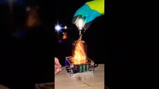 ✨️ Mysterious electrical phenomenon with dandelions #teslacoil #experiment #plant #physics