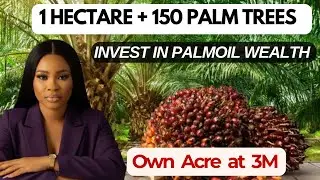 How to Build Generational Wealth Through Palm Oil Investment &ndash; Palm Crest 2