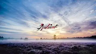 BLOMMA - August