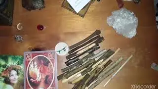 Intro To Ogham Divination