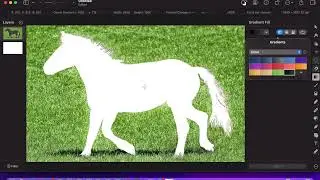 Erase An Object  - Using PIXELMATOR PRO