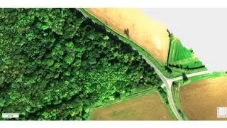 IB Wolf & Tama Group: Pr&auml;zises Waldmonitoring mit Drohnentechnologie f&uuml;r Forst & Landwirtschaft
