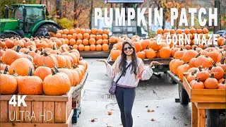 Pumpkin Patch & Corn Maze at Szalay's Farm in Cuyahoga Valley National Park, Cleveland | Fall 2020