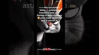 #humor #reels #trending #rabbit #vibes #goviral #ferxxo #yt #best#viralvid #contenido #creador #grow
