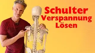 M. Subscapularis: So behandelst du den Muskel unter dem Schulterblatt