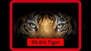 8 Mind-Blowing Facts About Cats | Clever Cat Corner