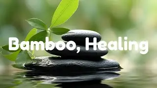 Bamboo Water & Slow Piano Music for Deep Sleep, Healing, Meditation & Stress Relief | Silence