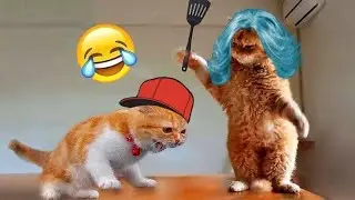 Funniest Cats and Dogs Clips 2026 🐱🐶 - TRY NOT TO LAUGH 😂