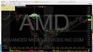 Equity Alerts   how to make live trades to your broker using the MEDVED platform