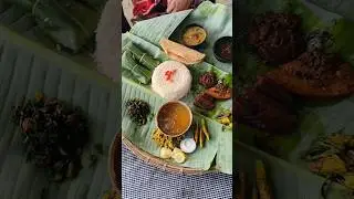 Baghmora Eco Camp 😍|| Mini Vlog #minivlog #trending #shorts