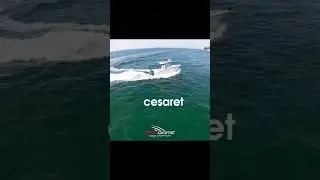 CNR BOAT SHOW Seagame modelleri