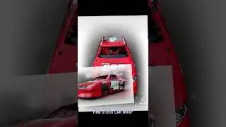 Mini Stock Car Vinyl Wrap