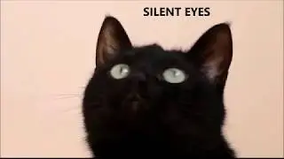 SILENT EYES - infoclipsters & Jukedeck
