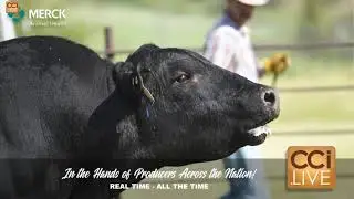 Buck Creek Ranch 