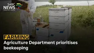Agriculture Department prioritises beekeeping