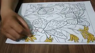 Color The Picture Of Beautiful Butterflies Fluttering Over The Rice Paddies 3 - Resolve