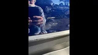 Save Money on Bumper Repairs - Professional Mobile Paint Touch-up