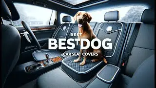Top 4: Best Dog Car Seat Covers 2024 | Best Seat Covers For Pets