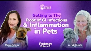 FMT for Dogs: Dr. Ruth Roberts on C. Diff and Chronic Gut Issues