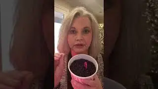 Pinkzebrahome.com/PennysSprinkles