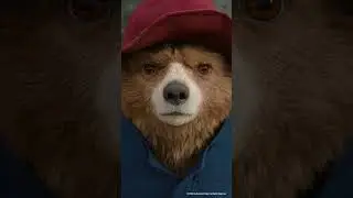 Paddington | It's Called a Hard Stare
