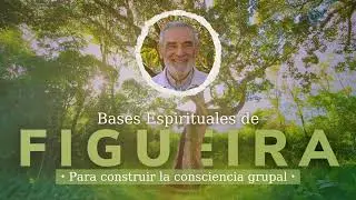 TRIGUEIRINHO - TO BUILD GROUP CONSCIOUSNESS