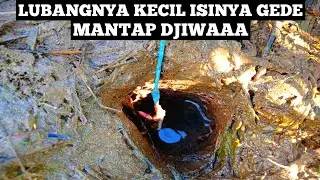 AWALNYA RAGU.. Ternyata Lubang Kecil Ini Isinya Belut Monster! | Mancing Belut Sawah