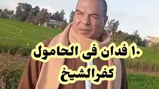 ١٠ فدان من اجود الأراضي الزراعيه فى الحامول بكفرالشيخ أرض ممتازه رى وصرف وزراعه