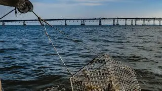 Live Chesapeake Bay Crabbing On FV Miss Paula