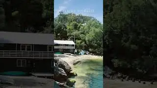 Secluded dog beach in Sydney, Australia