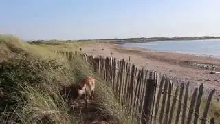 A quick look around Llandanwg - Andy's Property Videos