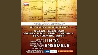 Rosen aus dem Suden, Op. 388 (Arr. A. Schoenberg for Chamber Ensemble)