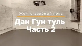 Дан Гун туль. Часть 2 | Отработка дома. Тхэквондо для желто-зеленого пояса