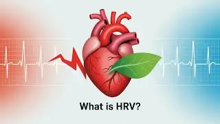 What Is HRV? Understanding Heart Rate Variability for Recovery & Stress Balance #HRV #biohacking