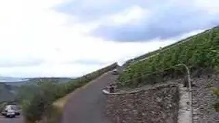 Loeb Test Veldenz 2008