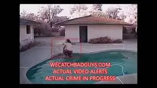 CheckVideo Dealer Managed Services leads to arrest 110!