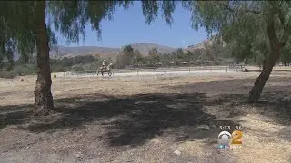 Girl Dies, Sister In Critical Condition After Tragic Horse Accident