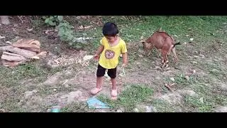 কৃষ বড় হয়ে গেছে কৃষের ছাগল বড় হয়ে গেছে