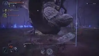 Trios Triple Bleed Frost Poison Nightreign Cheese Run 🤣