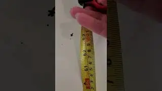 height verification video