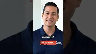Hidden Horror Stories - Mold Busters