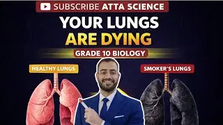 Grade 10 Bio |Unit 1 Lecture 5 | Effect of Smoking on Lungs | How Cigarettes Destroy Lung Functions 