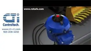 Rotork CVA Electric Actuators
